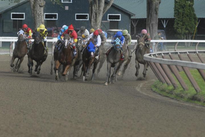 Thursday Racing Thursday Racing
