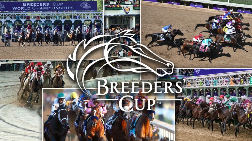 Fun Breeders’ Cup Facts
